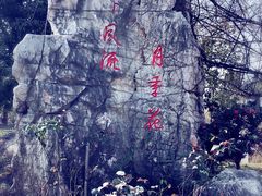 -鹅湖玫瑰文化园
