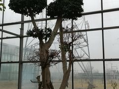 -龙达温泉生态城