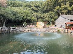 -宁波市保国寺古建筑博物馆