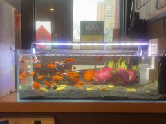 -鑫巴蜀小镇 · 水煮鱼专研店(玉桥店)
