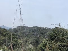 -三亚亚龙湾人间天堂鸟巢度假村