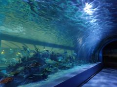 -常州海昌海洋探索馆
