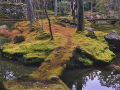 -西芳寺(苔寺)