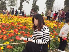 -秀丽东方