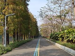 -顺峰山公园