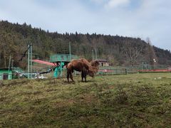 -武陵山森林公园