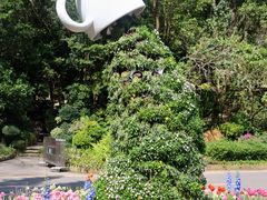 -深圳仙湖植物园-停车场