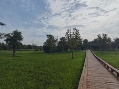 -汉长安城未央宫国家考古遗址公园