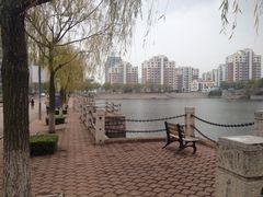 iphone_upload_pic-青岛大学(金家岭校区)