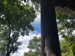 -广州市白云山风景名胜区