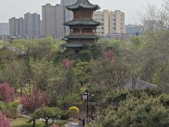 -迎泽公园