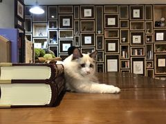 -咖法森林·咖啡  酒吧(天河店)