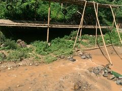 -西双版纳原始森林公园