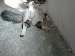 -五月木作·DIY木作文创体验店(北京路店)