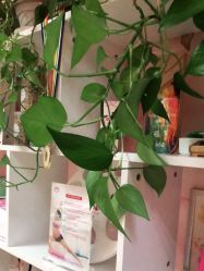 -爱尔乐美孕产瑜伽·普拉提