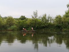 -溱湖国家湿地公园