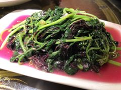 -缪氏川菜(深圳北站缤果空间店)