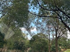 -梧桐山风景名胜区