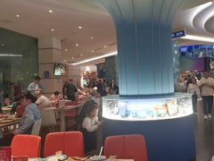 -帝企鹅自助餐厅•儿童岛•真企鹅(长隆企鹅酒店)