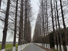 -嘉北郊野公园