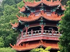 -神光山国家森林公园