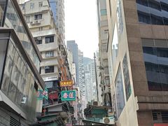 -珍妮曲奇聪明小熊(上环店)