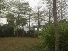 -福田红树林生态公园