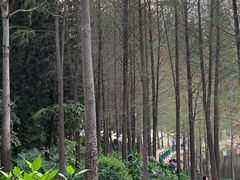 -深圳龙潭公园