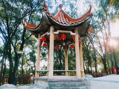 -南国桃园旅游度假区