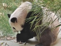 -杭州野生动物世界