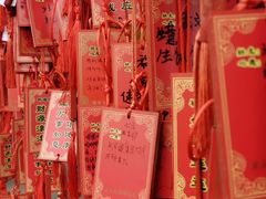-龙泉洞(沙坪坝区)