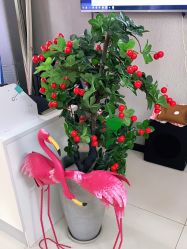-E.beauty驻颜·痘敏肌调理中心