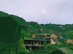 -枸杞岛