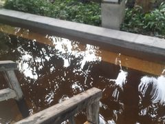 -融汇温泉