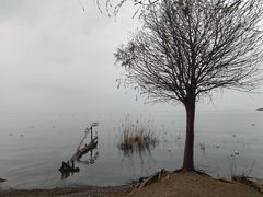 -捞渔河湿地公园