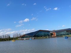 -上海长兴岛郊野公园