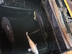 -蓝湾碧波·老字号·疍家非遗海上餐厅