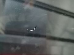 -福耀汽车玻璃(浦东店)