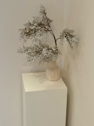 -七岛美学