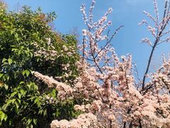 -西安汉城湖景区