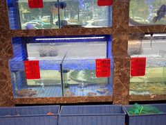 -501號台州海鲜餐厅(海创园店)