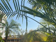 -DEEP COFFEE(瑞光烘焙工厂店)