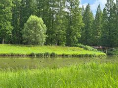 -黄海国家森林公园