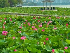 -云龙湖旅游景区