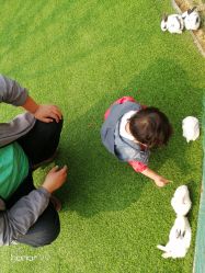 -萌宠亲子动物乐园(槐房万达店)