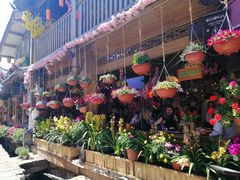 -民食香·腊排骨野生菌美食(木府店)