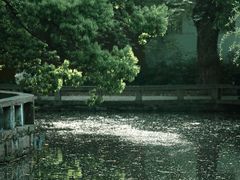 -西园戒幢律寺