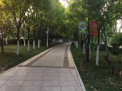 -南翠屏公园