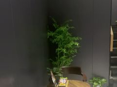 -梵猫·新养生(鹭江大同店)