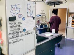 -瑞鹏宠物医院·爱宠堂(环西分院)